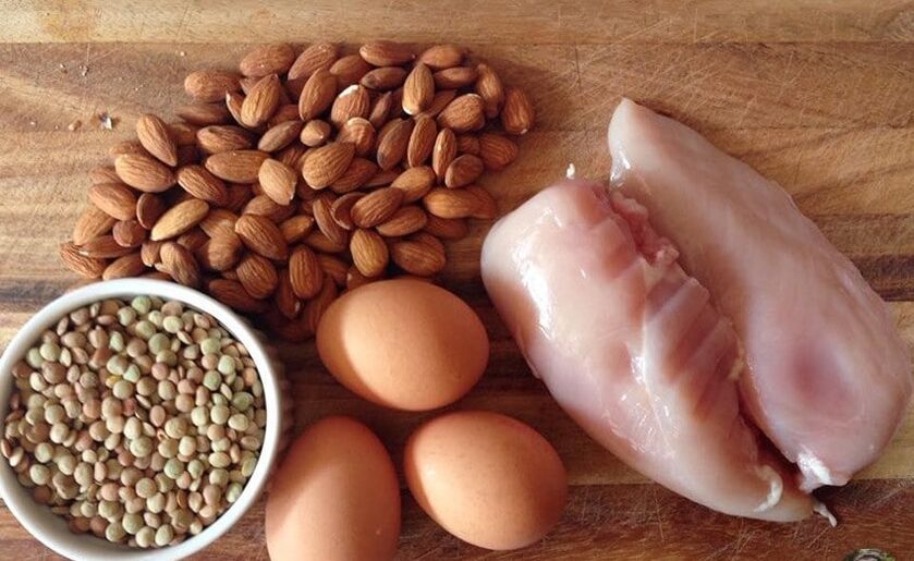 alimento proteico